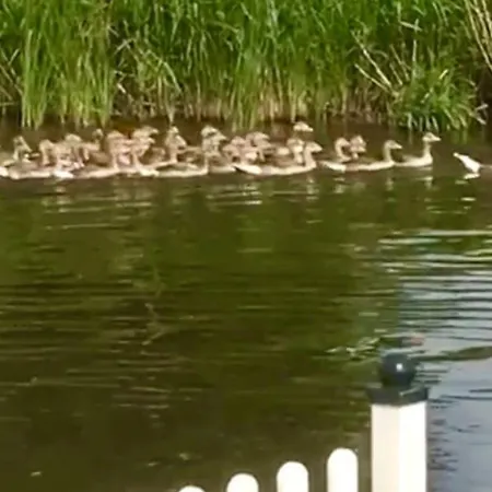 In Wervershoof Mit Terrasse Und Garten By Interhome