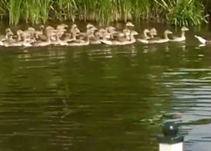 In Wervershoof Mit Terrasse Und Garten By Interhome